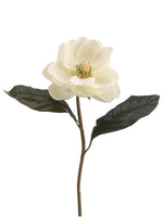 25" Magnolia Spray x1  Cream White (pack of 12)