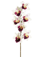 Orchid Cream