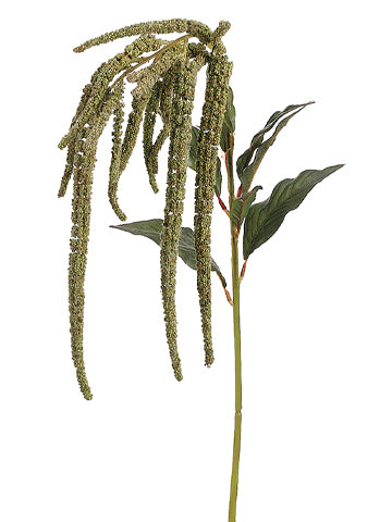 44" Amaranthus Spray  Green (pack of 24)