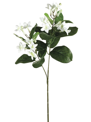 20.5" Stephanotis Spray x2  White (pack of 48)