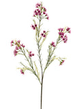 Mauve Pink