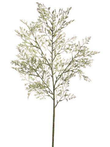 Cream Green