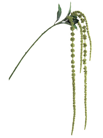45" Amaranthus Spray x4  Green (pack of 24)