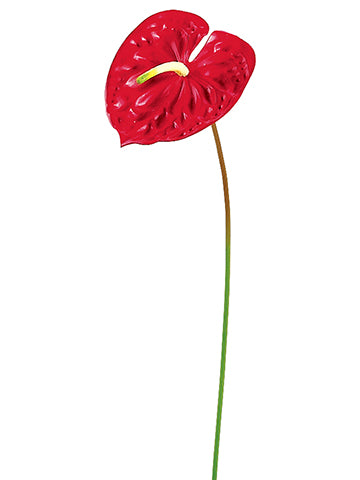 24" Anthurium Spray  Red (pack of 12)