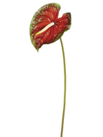 26" Large Anthurium Spray  Red Green (pack of 12)