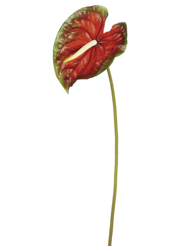 26" Large Anthurium Spray  Red Green (pack of 12)