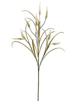 27" Bunnytail Spray  White (pack of 12)