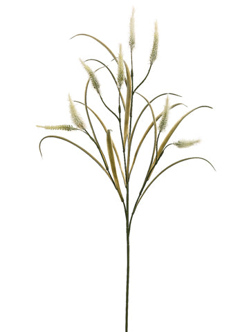 27" Bunnytail Spray  White (pack of 12)