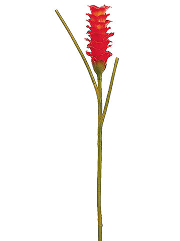 29" Curcuma Elata Spray  Orange Red (pack of 12)