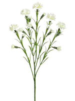 Cream White