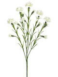 Cream White