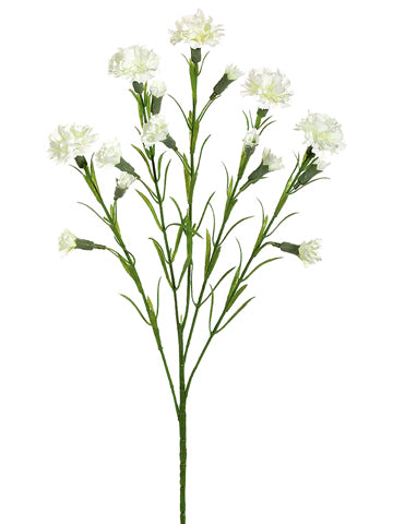 Cream White