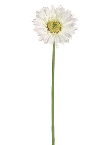 22" Gerbera Daisy Spray  White (pack of 12)