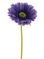 Dark Purple