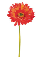Rust Orange