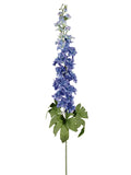 Delphinium Blue