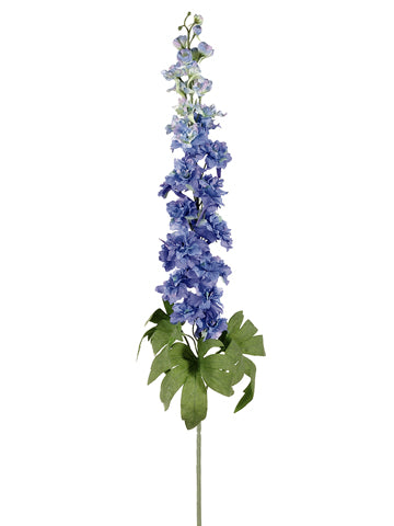 Delphinium Blue