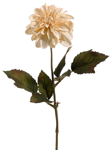 25" Dahlia Spray x1  Vanilla (pack of 12)