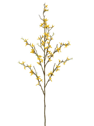 36" Forsythia Spray  Gold (pack of 12)