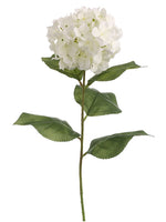 30" Hydrangea Spray  Cream White (pack of 12)
