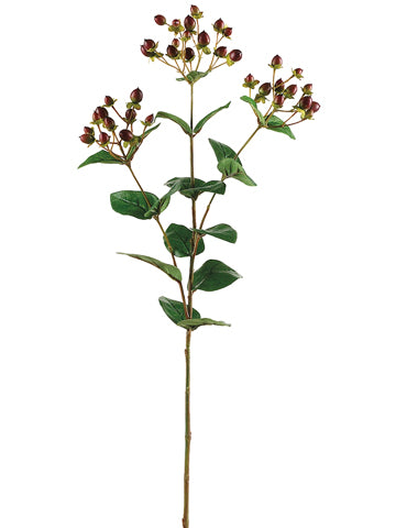 29" Hypericum Spray x3  Burgundy Green (pack of 12)