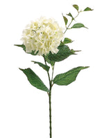 Cream White