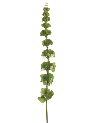 31" Large Bells of Ireland Spray Green (pack of 12)