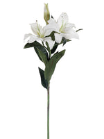 Cream Green