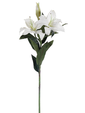 Cream Green