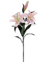 Pink Green