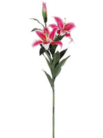 Rubrum