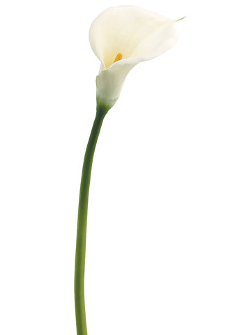 33" Jumbo Calla Lily Spray  White (pack of 12)