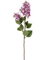 Two Tone Lilac