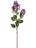 Two Tone Lavender