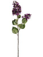 Two Tone Purple