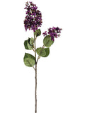 Two Tone Purple