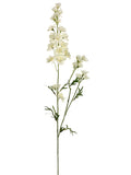 Cream White