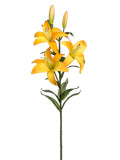Dark Yellow