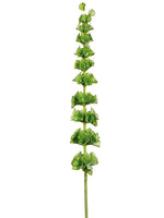 36" Bells of Ireland Spray  Green (pack of 12)