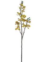32" Baby Phalaenopsis Orchid Spray Green Burgundy (pack of 12)