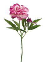 Fuchsia Pink