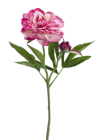 Fuchsia Pink