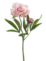 Pink Green