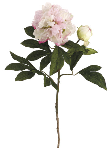 30" Peony Spray  Pink Beauty (pack of 12)