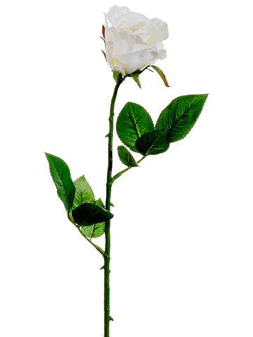 Cream White