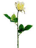 Soft Yellow