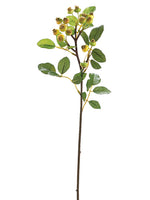 23" Rosehip Spray  Green (pack of 12)