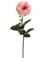 Cream Pink