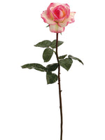 Cream Pink