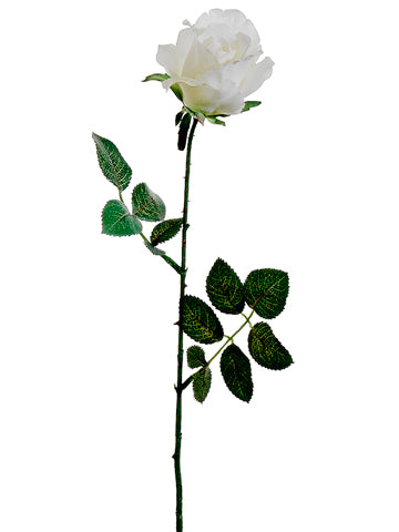 Cream White